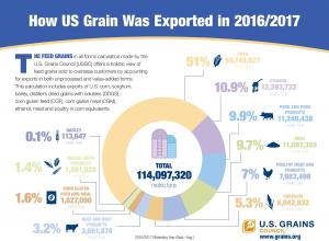 Colorful Donut Chart about Grain Exports