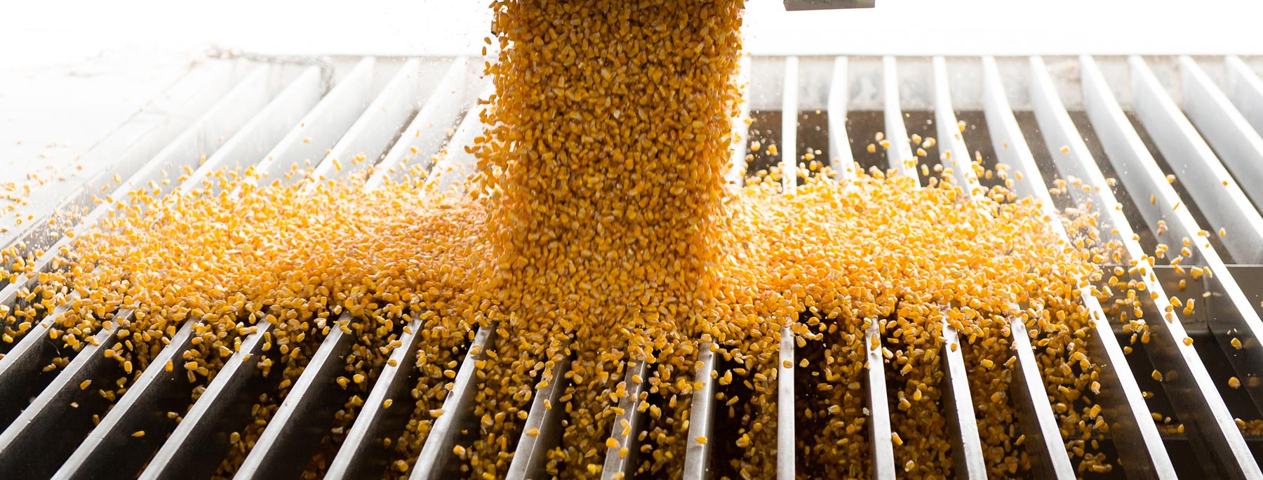 Corn - U.S. GRAINS COUNCIL