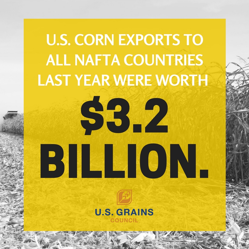 quote on corn exports