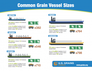 Common Grain Vessel Sizes infographic