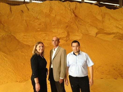 Three people standing in front of a large pile of DDGs