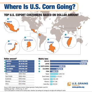 infographic - Where Is U.S. Corn Going?