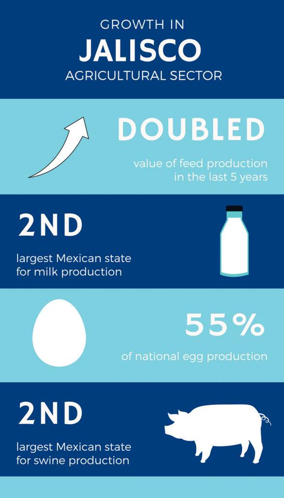 Infographic showing agricultural growth in Jalisco