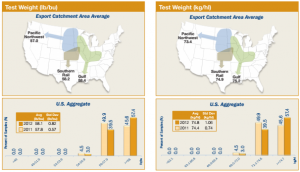 weight converter weight loss resources