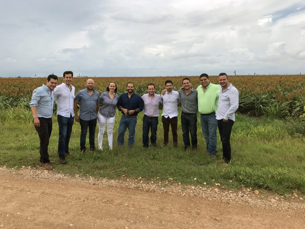 A group of Mexican agriculture leaders in a sorghum field