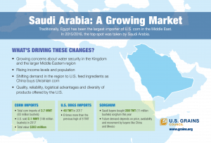 image of an infographic entitled Saudi Arabia - A Growing Market