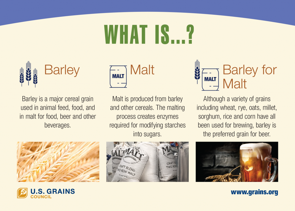 image of an infographic on types of barley exported