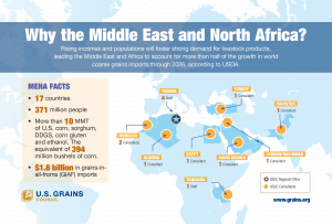 image of infographic entitled Why the Middle East and North Africa