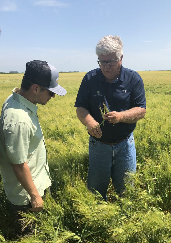 image of two men having a discussion in a barley field