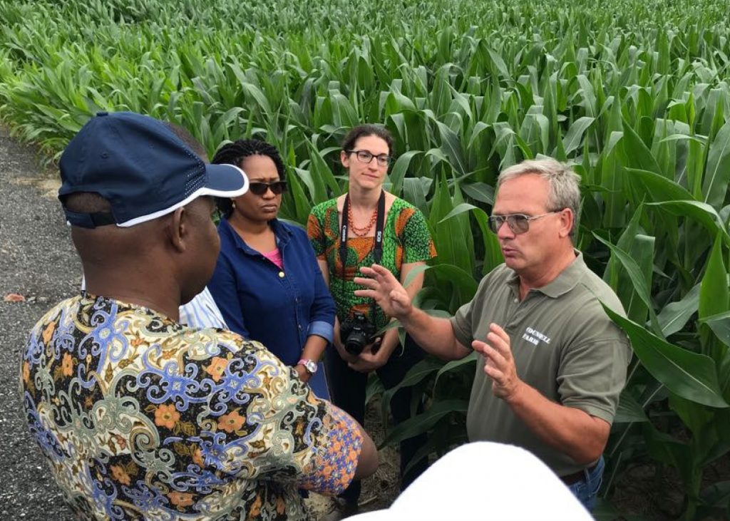 image of four people talking in a corn field