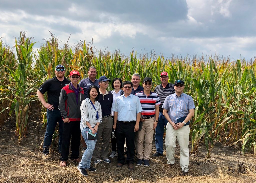 Taiwan Grain Quality Survey Team - Corn Field - 02