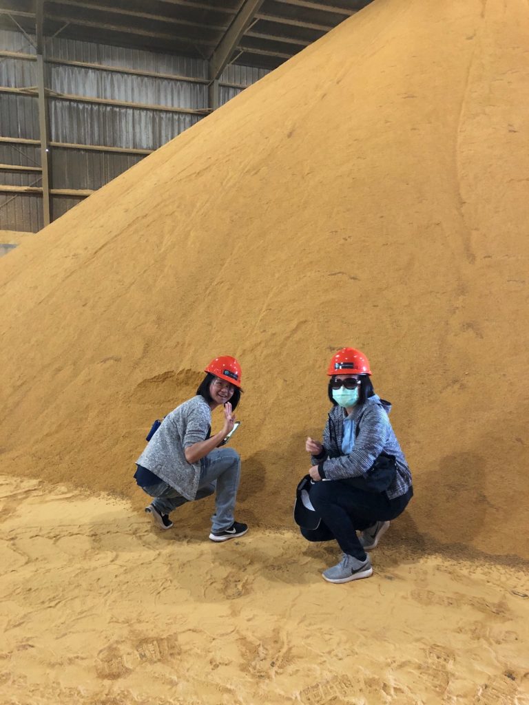 Taiwan Grain Quality Survey Team - DDGS