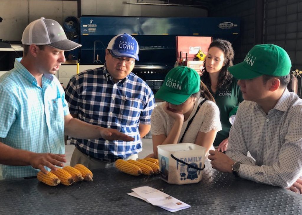 Indonesia corn starch team looking at ears of corn