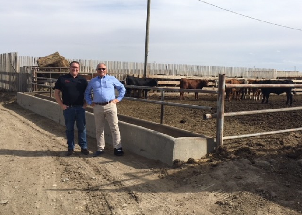 Two Men Standing Next to Cow Feedlot