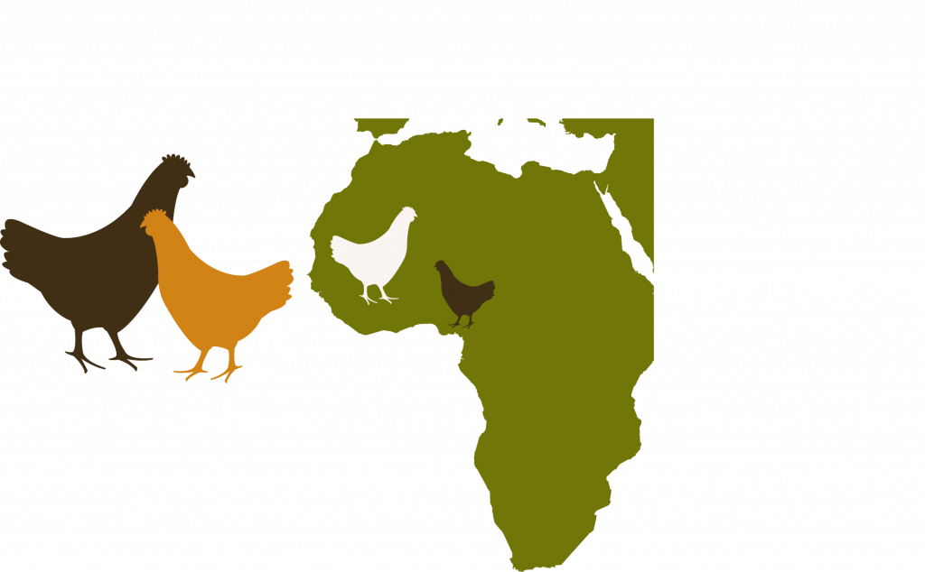 poultry in Africa