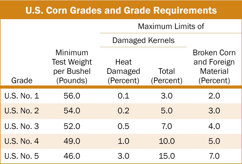 corn-grading-chart-my-xxx-hot-girl