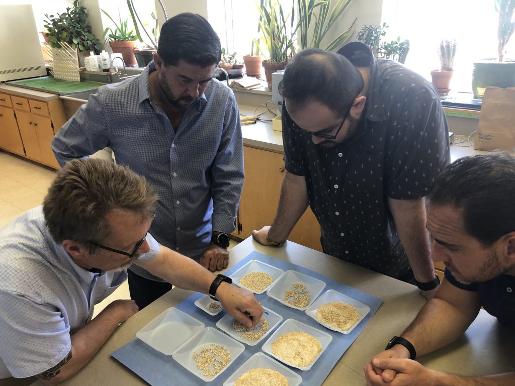 Mexico Craft Brewing Team- 4 team members analyzing barley