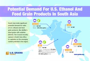 Potential Demand for U.S. Ethanol and Feed