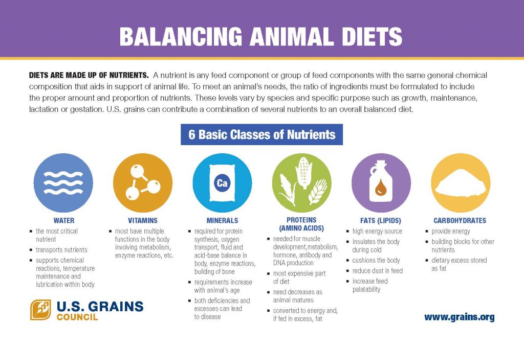Balancing Animal Diets - U.S. GRAINS COUNCIL