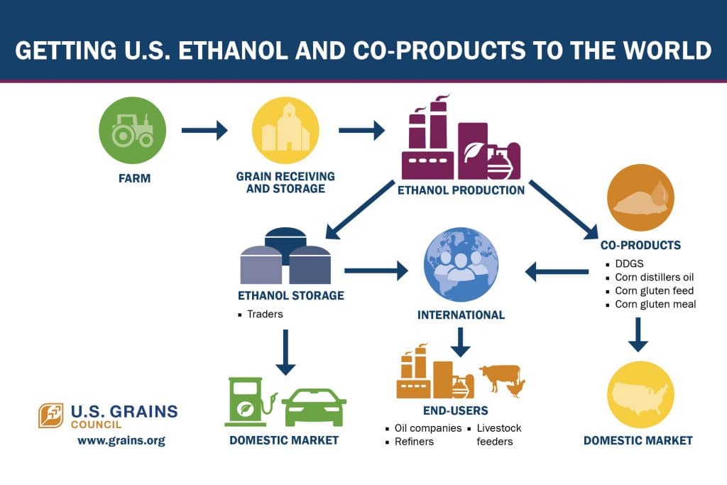 infographic on getting US ethanol and co-products to the world