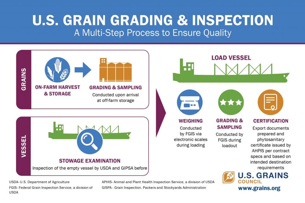 infographic on US grain grading and inspection
