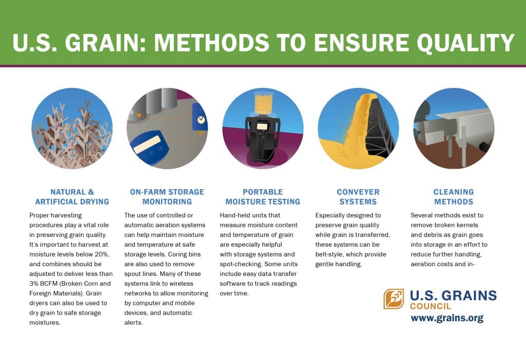 infographic on methods to ensure grain quality
