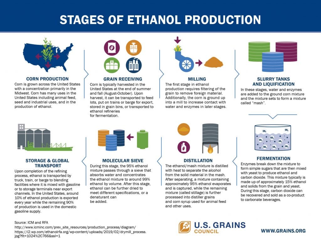 infographic on the stages of ethanol production