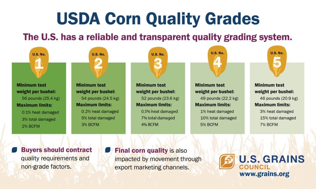infographic on USDA corn quality grades