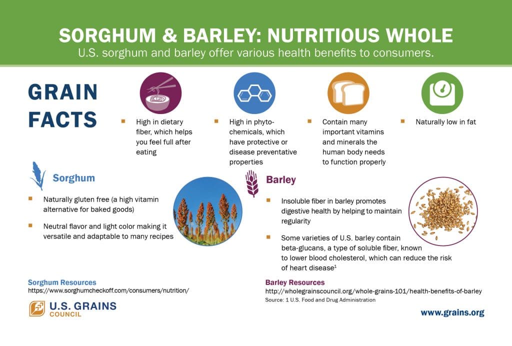 infographic on sorghum and barley nutrition