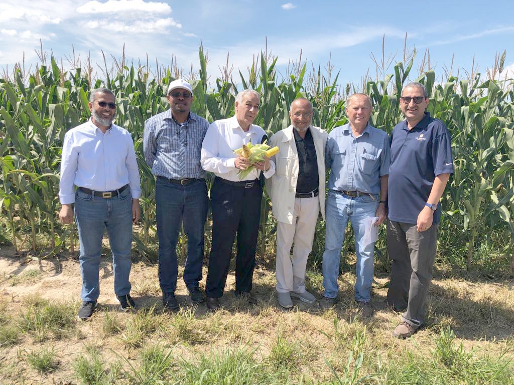 Saudi Arabia Team in Illinois- team members standing in a corn field, one holding 3 ears of corn