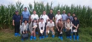 group photo of team members in a corn field
