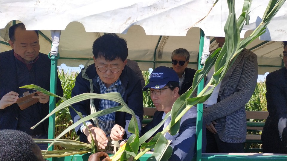 South Korea team examines corn