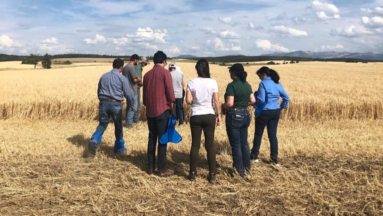 Eight People Standing In Front Of Field of barley