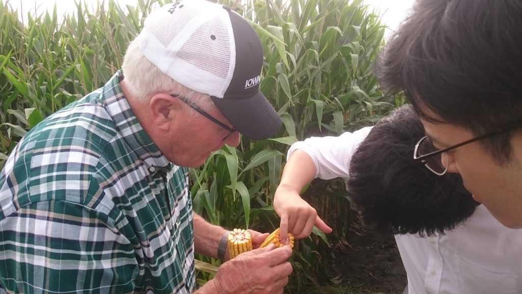 2019 Japan Feed Corn Team- 3 men analyzing an ear of corn in a corn field