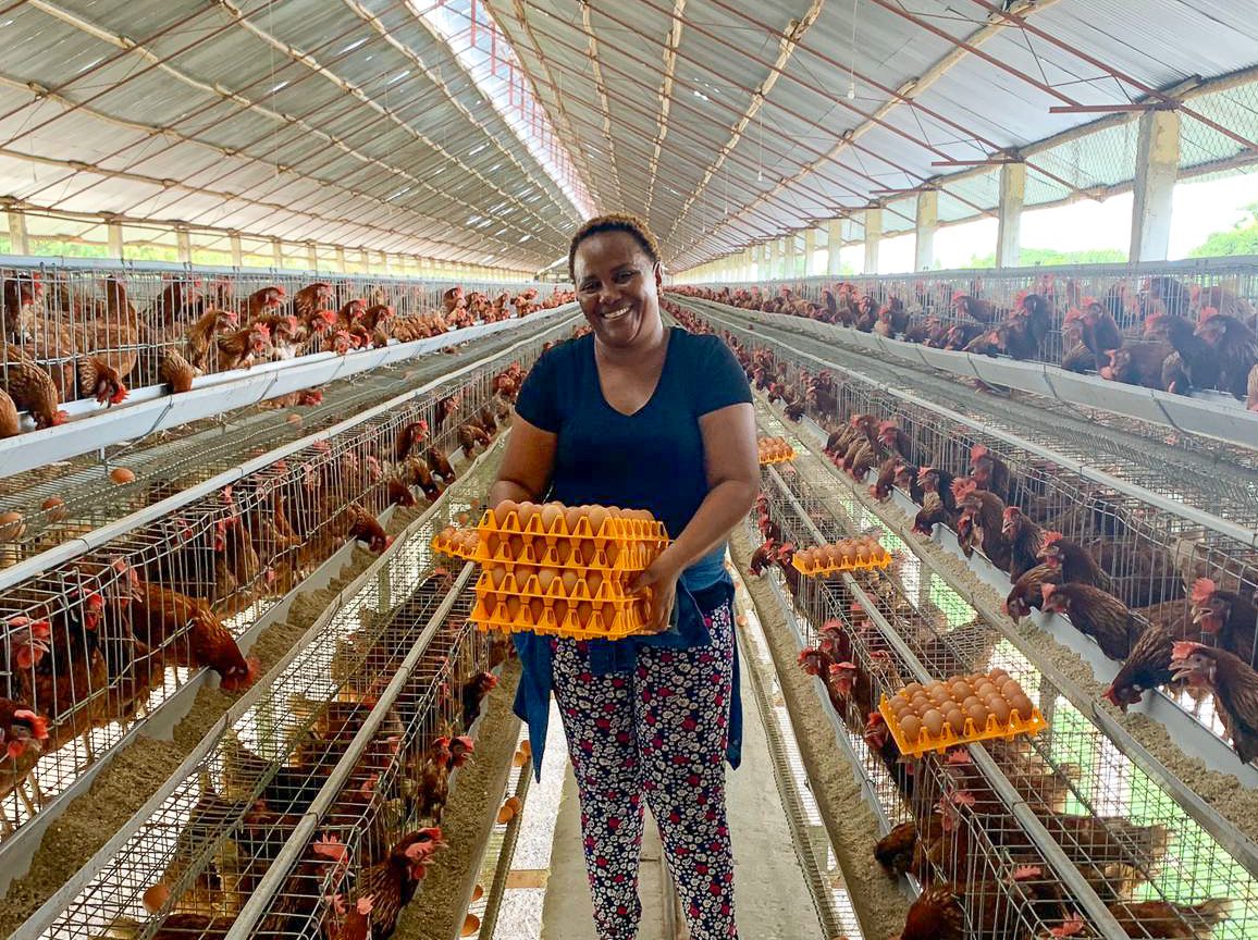 poultry farming business plan in tanzania