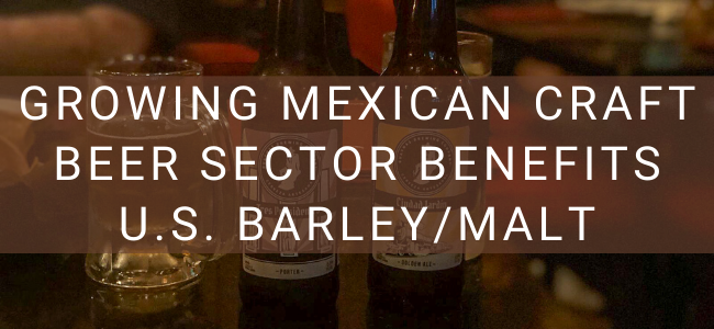 Growing Mexican Craft Beer Sector Benefits U.S. Barley/Malt