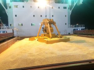 Corn Vessel Unloading in Vietnam