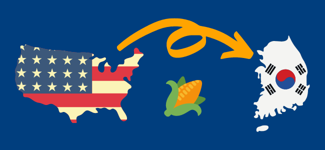 An arrow pointing from the United States to Korea over an ear of corn.