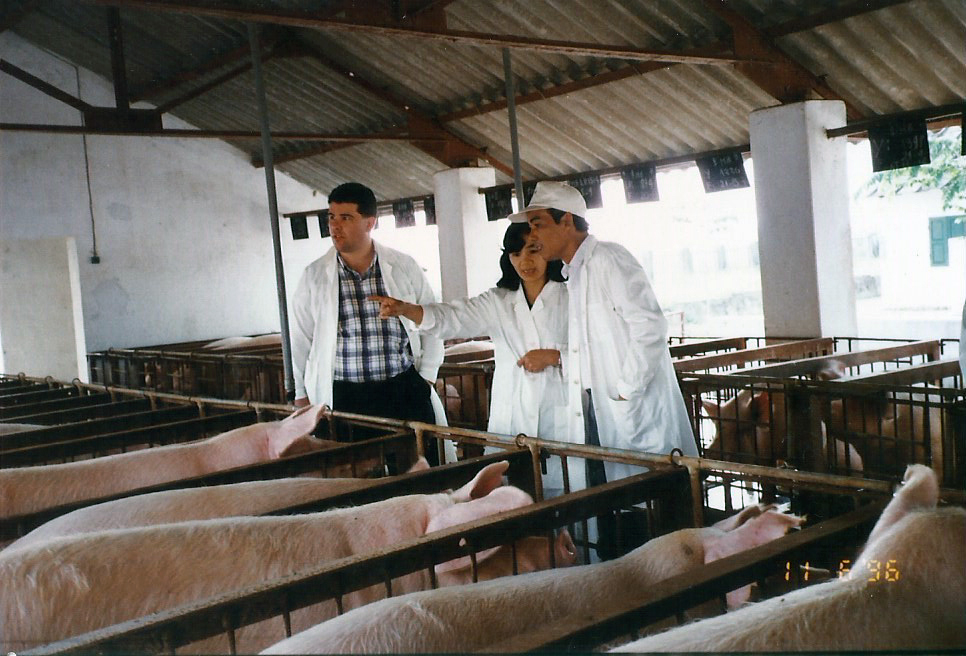 Three People in White Standing Next to Pigs