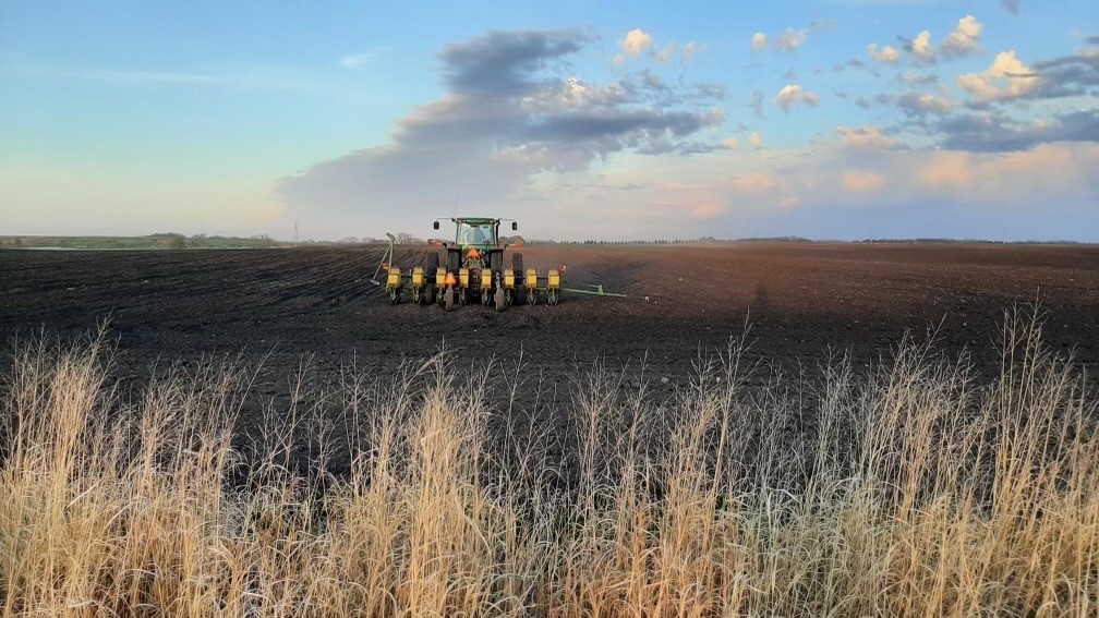 Crop progress: Corn harvest officially underway