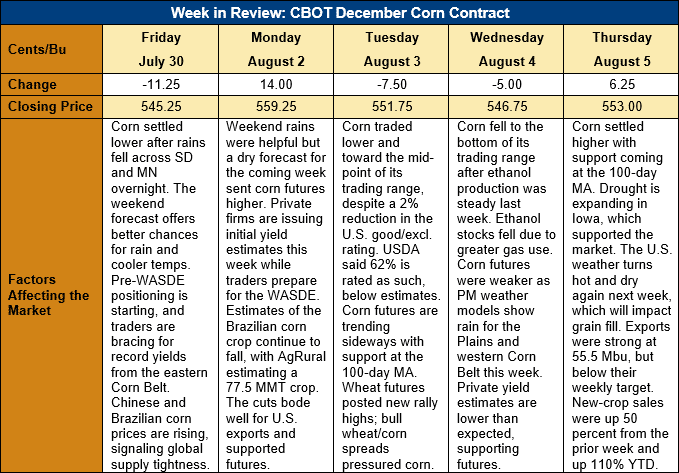 Brazil Real Forecast  Will The Brazil Real Get Stronger?