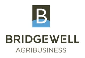 bridgewell logo