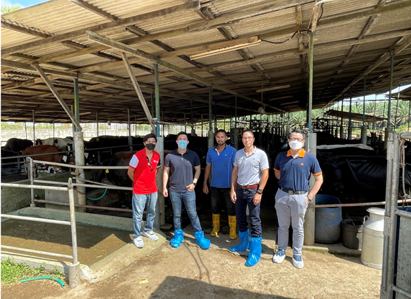 group of men posing for photos on dairy farm