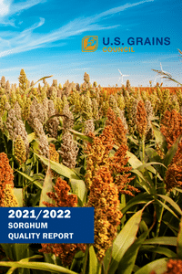 image of a sorghum field