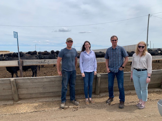 four people at a cattle feedlot