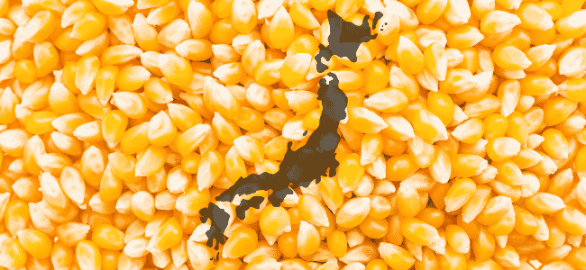 a graphic featuring the outline of Japan on top of corn kernels