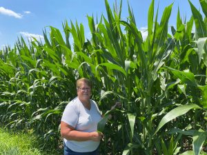 image of a woman in a corn field