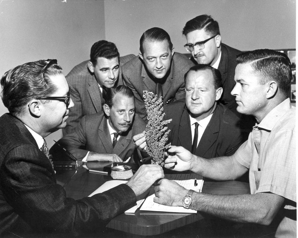 seven men looking at sorghum