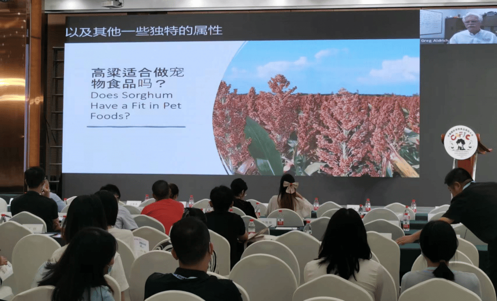 Group of people listening to a virtual presentation