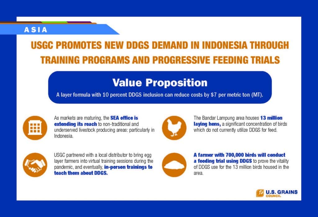 Indonesia infographic